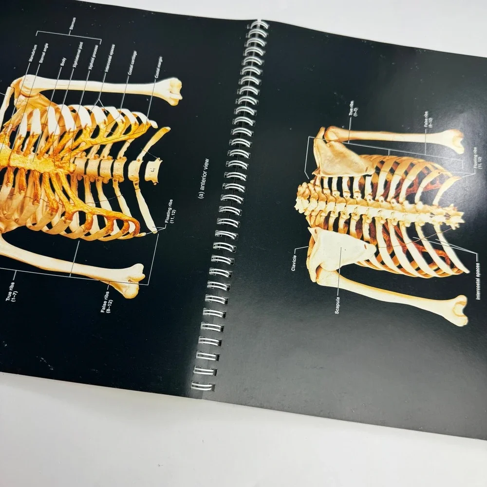 Pearson A Brief Atlas of the Human Body 2nd Ed Spiral Bound Medical Book